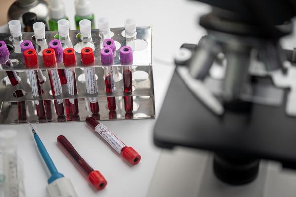 Израиль начал принимать анализы Invitro для въезда россиян Израиль начал принимать анализы Invitro для въезда россиян